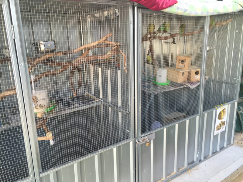 TLC Early Learning Centre Raymond Terrace