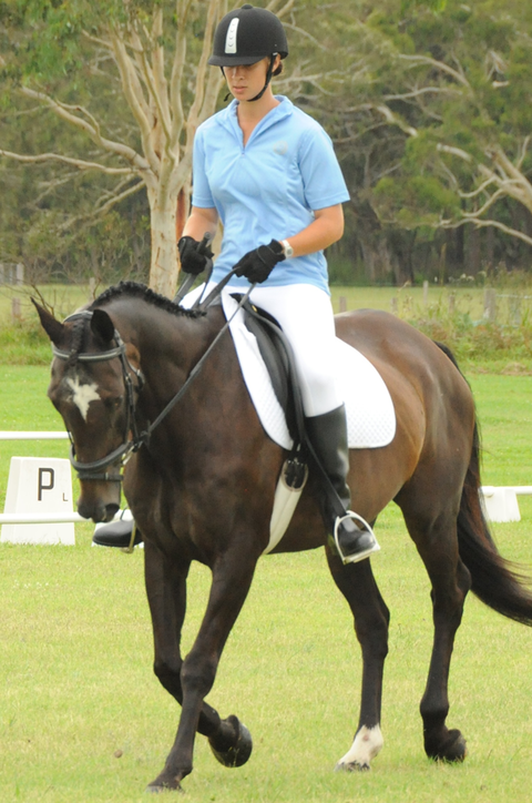 Encantador The Riding School - Schools Australia 3