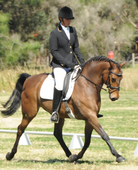 Encantador The Riding School - Schools Australia 4