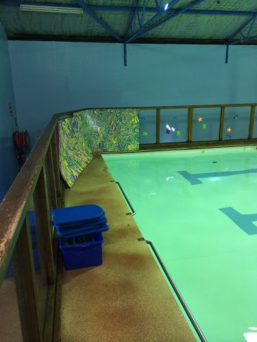 Shane Dowel’s Swim School - Schools Australia 1