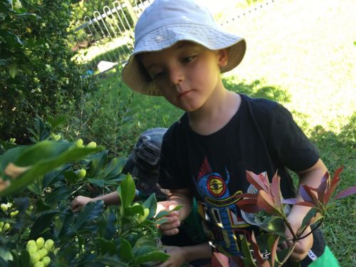 Kiama Kids Pre-School  Childcare Centre Kiama Downs