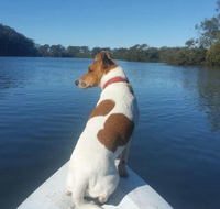 Australis Canoes  Kayaks - Schools Australia