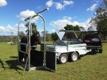 Tamworth Veterinary Hospital - Schools Australia 1