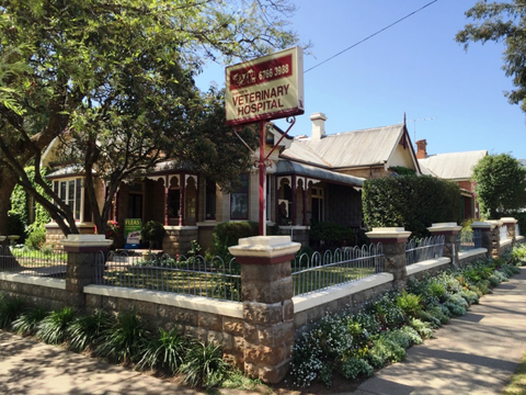 Tamworth Veterinary Hospital - Schools Australia 2