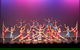 Noosa Professional Dance Academy - thumb 1