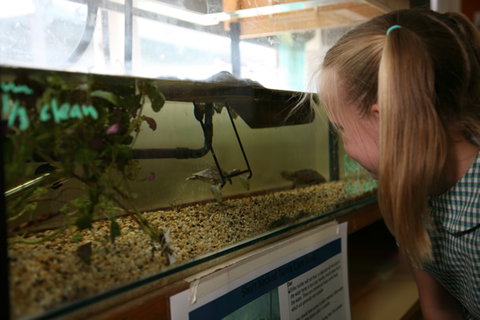 Christ The King Primary School Newcomb - Schools Australia 7