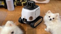AI robot may stop your dog from barking while you're gone Schools Australia