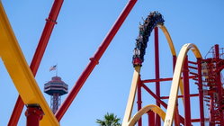 Popular amusement park bans guest for life after roller coaster stunt viral video Schools Australia